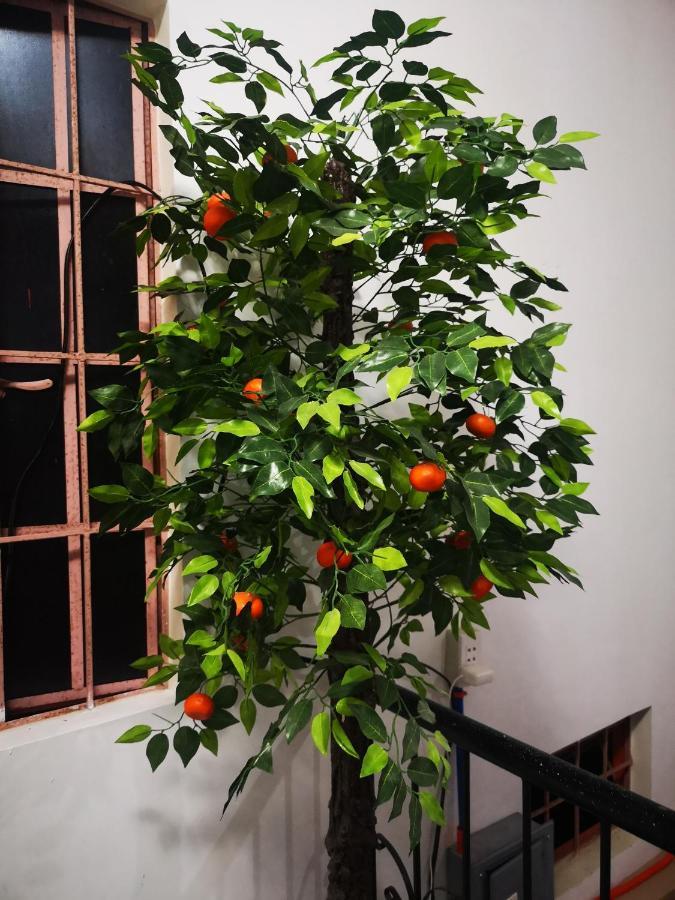 Апартаменти Estrelle Orange House - Backpackers Hub Puerto Princesa Екстер'єр фото